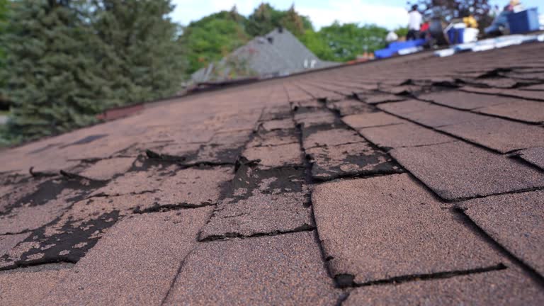 Best Wood Shake Roofing  in San Francisco, CA